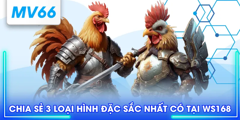 WS168 - Sân Chơi Cá Cược Đá Gà Trực Tuyến Uy Tín Chất Lượng 4 Chia sẻ 3 loại hình đặc sắc nhất có tại WS168
