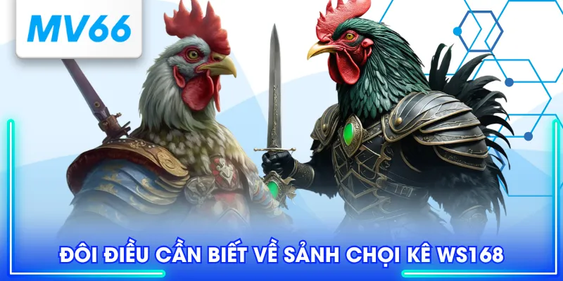 WS168 - Sân Chơi Cá Cược Đá Gà Trực Tuyến Uy Tín Chất Lượng 2 Đôi điều cần biết về sảnh chọi kê WS168
