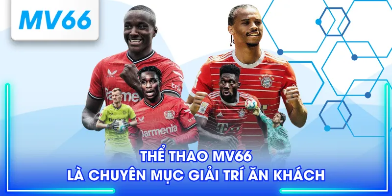 Thể Thao MV66 là chuyên mục giải trí ăn khách