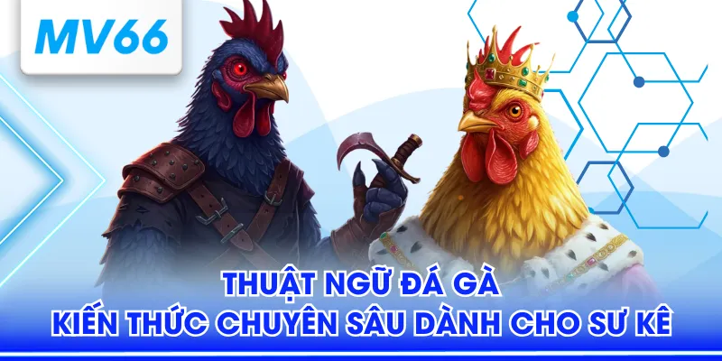 Thuật Ngữ Đá Gà - Kiến Thức Chuyên Sâu Dành Cho Sư Kê 1 Thuật ngữ đá gà