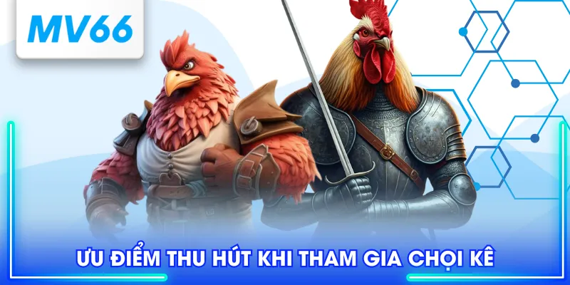 WS168 - Sân Chơi Cá Cược Đá Gà Trực Tuyến Uy Tín Chất Lượng 3 Ưu điểm thu hút khi tham gia chọi kê