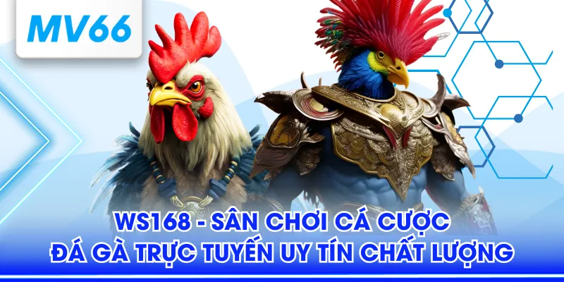WS168 - Sân Chơi Cá Cược Đá Gà Trực Tuyến Uy Tín Chất Lượng 3 WS168